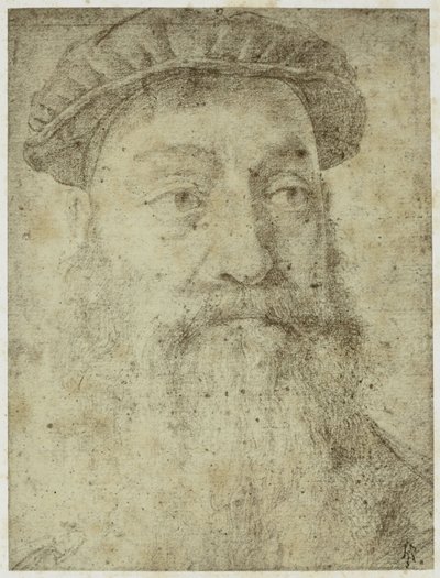 ブロンツィーノの「ステファノ・コロンナの肖像のための習作」の写真 作： Philip Henry Delamotte