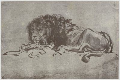 レンブラント、ライオン 作： Philip Henry Delamotte
