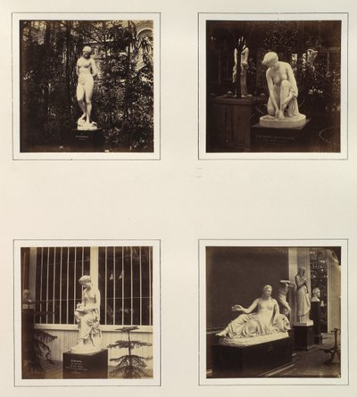 [アンドロメダ、アタランタの便器、コリンナ、ナイアスの彫刻」1859年頃 作： Philip Henry Delamotte.