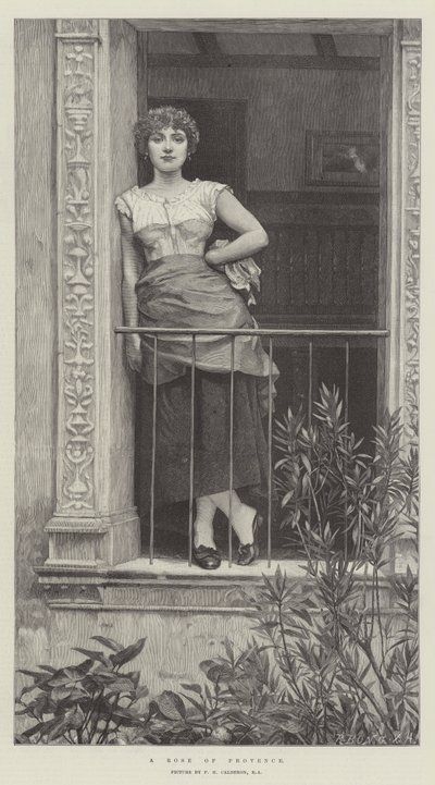 プロヴァンスの薔薇 作： Philip Hermogenes Calderon