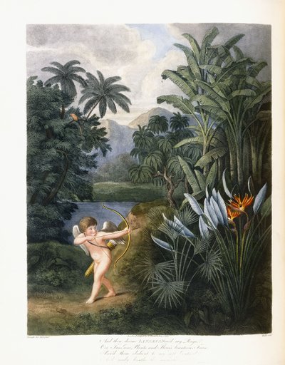 そして、神聖なリンネ、c.1796-1807 作： Philip Reinagle