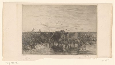 牧草地の水の近くの牛 Vaches au bord de l