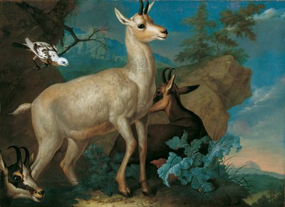 3 つのシャモアとクロウタドリ 作： Philipp Ferdinand de Hamilton