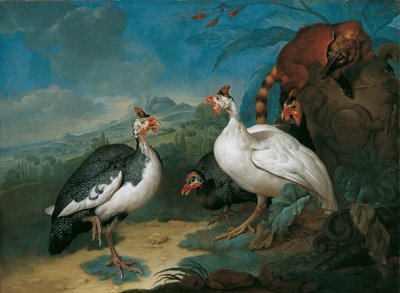 ホロホロチョウとハナグマ 作： Philipp Ferdinand de Hamilton