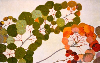 ポプラトレムラ、またはヨーロッパのアスペン、1907-09（グラビア） 作： Philippe Robert