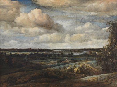 ハールレムを遠くに望むオランダのパノラマ風景 作： Philips Koninck