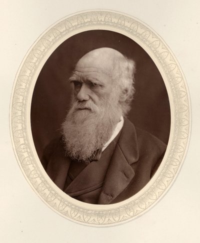 チャールズ ダーウィンの肖像 1809 ～ 1882 年、1877 年。 作： Photo studio Lock and Whitfield