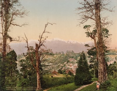 ダージリン。 キンチンジュンガとブナウッド パークの雪 作： Photoglob Co. (Zurich, active c. 1890 1910)