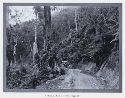 サザン・ギップスランドの山道（モノクロ写真 作： Photographer Australian