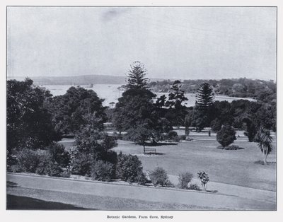 Botanic Gardens, Farm Cove, Sydney (モノクロ写真) 作： Photographer Australian
