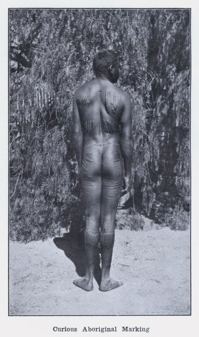 好奇心旺盛なアボリジニのマーキング（モノクロ写真 作： Photographer Australian