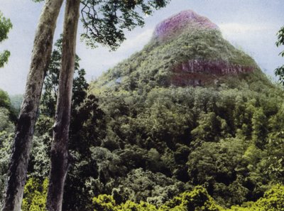 オーストラリア、クイーンズランド州。Mt.Cordeaux（写真 作： Photographer Australian