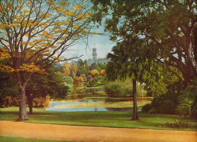 メルボルン州政府庁舎（カラー写真） 作： Photographer Australian