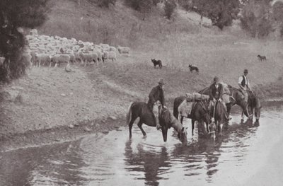 The Rest, Typical Australian Stockmen (b/w photo) 作： Photographer Australian