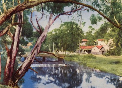 静かな小川（カラー写真） 作： Photographer Australian