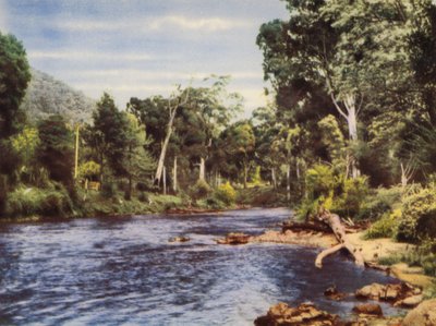 ヤラ川（カラー写真） 作： Photographer Australian