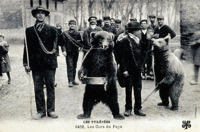 ピレネー山脈の熊のショー、1900年頃（モノクロ写真） 作： 写真家フランス人
