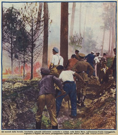 ドイツの黒い森で山火事と戦う農民と兵士たち 作： Photographer German