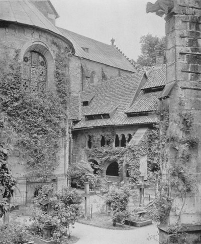 千年の薔薇（モノクロ写真 作： Photographer German