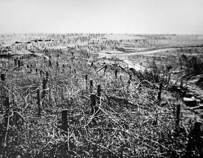 第一次世界大戦中、ヒンデンブルグラインの一部であるドイツのボーレボア陣地の鉄条網の防衛線 作： Photographer German