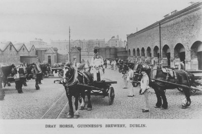 アイルランド・ダブリン、ギネス・ブルワリー、ドレイ・ホース（モノクロ写真 作： Photographer Irish