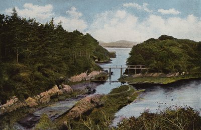 南アイルランド：ケリー州パークナシラ（カラー写真） 作： Photographer Irish