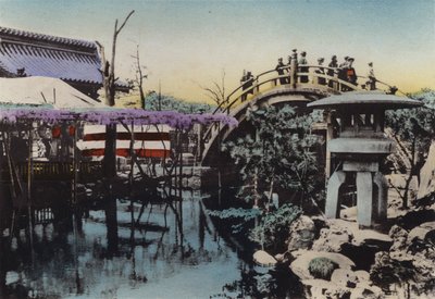 日本、1912年頃。5月に藤の花が咲くことで有名な亀戸寺の境内と、その中にある太鼓橋（写真 作： Photographer Japanese
