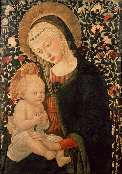 不明な画像 作： Pier Francesco Fiorentino