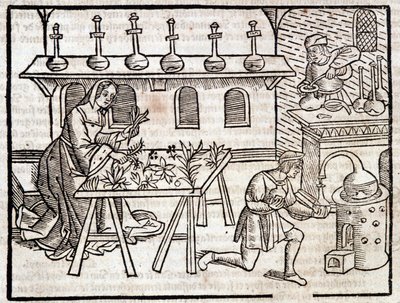 植物とその美徳による医学 - ピエール・ド・クレセント著「Des profit champêtres et ruraux」（パリ 作： Piero da Crescentino