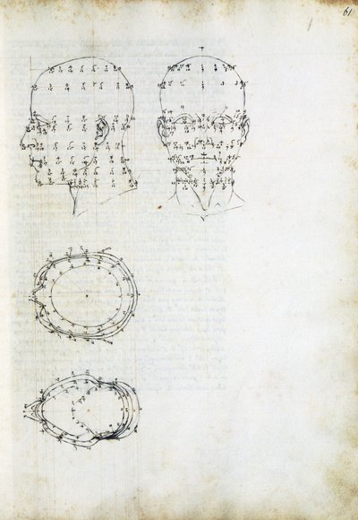 ピエロ・デラ・フランチェスカ（1415年頃～1492年）の「絵画の遠近法について」のページに描かれた頭部の構造と幾何学的な投影。 作： Piero della Francesca