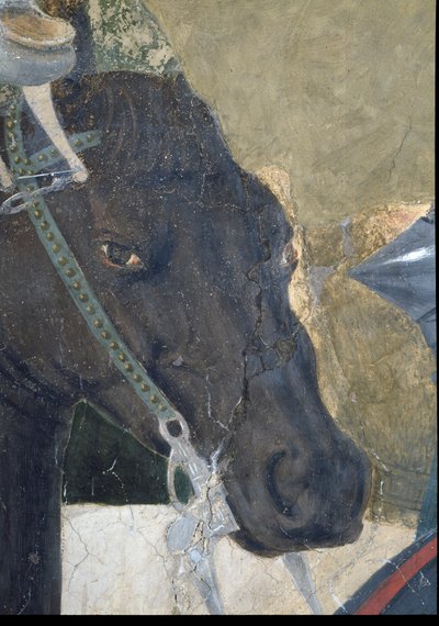 真の十字架の伝説、ミルビアン橋の戦いでのコンスタンティヌスの勝利、馬の頭の詳細、1464年のフレスコ画の完成116343も参照 作： Piero della Francesca