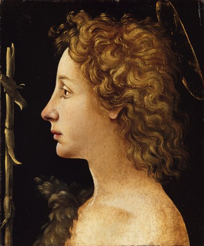 バプテストの若い聖ヨハネ（テンペラと木の油） 作： Piero di Cosimo