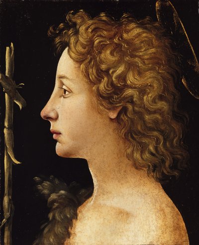洗礼者ヤングセントジョン、ca。 1480-82。 作： Piero di Cosimo
