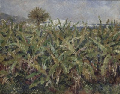 バナナ畑 作： Pierre-Auguste Renoir