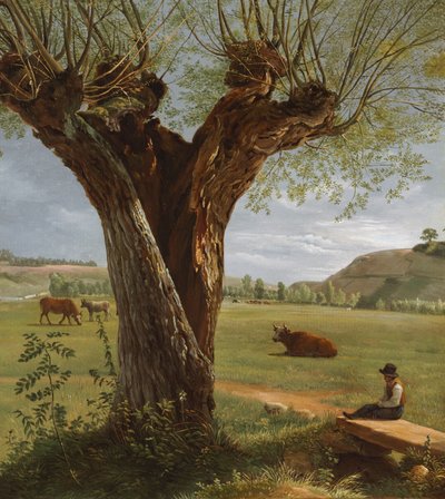 ポラード柳、1804年以降（油彩、紙、キャンバスにマウント） 作： Pierre Jean Boquet