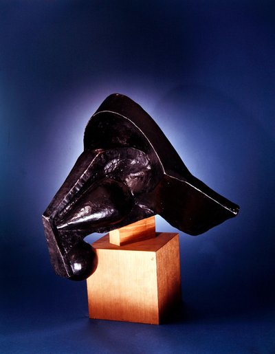 馬の頭 作： Pierre Maurice Raymond Duchamp Villon
