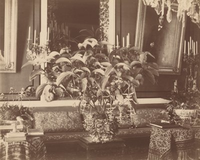 内部、1860年代（写真） 作： Pierre Ambroise Richebourg
