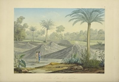 ターバコの空気火山、ブーケの彫刻、アレキサンダー・フォン・フンボルトとアイム・ボンプランの「Vues des Cordillères et Monumens des Peuples Indigènes de l