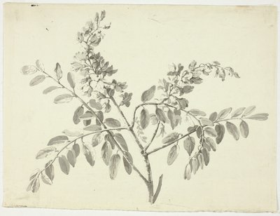 花咲く枝 作： Pierre Antoine Mongin
