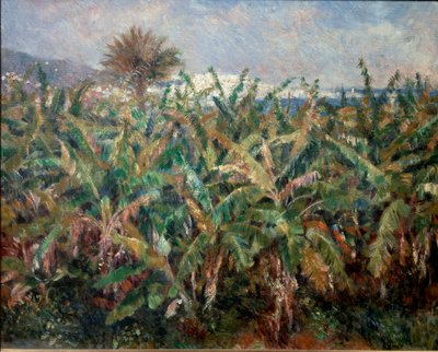 バナナ畑 作： Pierre Auguste Renoir