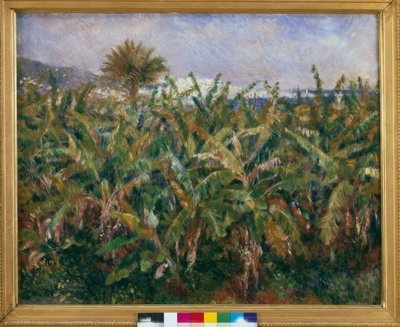 バナナ畑 作： Pierre Auguste Renoir