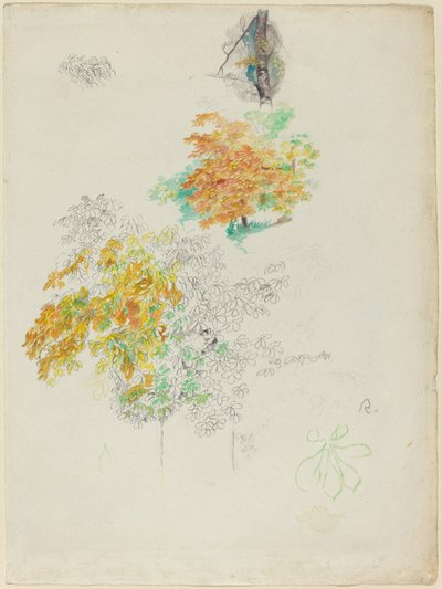 木の研究、1886年。 作： Pierre Auguste Renoir