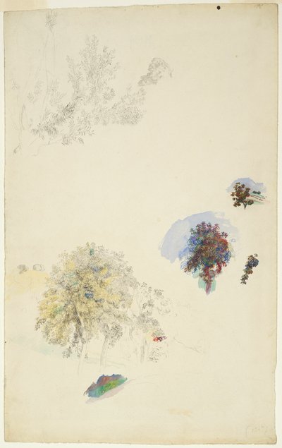 樹木と葉の研究 作： Pierre Auguste Renoir