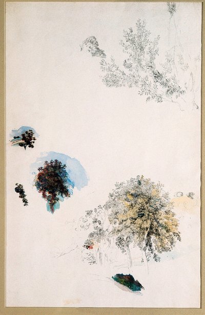 樹木の研究 作： Pierre Auguste Renoir