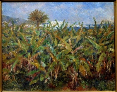 Un champ de bananas 絵画 Pierre Auguste Renoir (1841-1919) 1881 Sun.0,51x0,63 m パリ、オルセー美術館 - バナナの木の畑。ピエール・オーギュスト・ルノワール(1841-1919)の絵画 1881年。0.51×0.63 m パリ、オルセー美術館 作： Pierre Auguste Renoir
