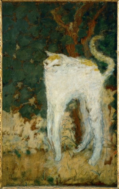 白猫 作： Pierre Bonnard