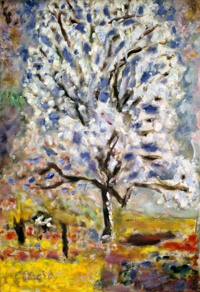 ブロッサムのアーモンドの木、1947 作： Pierre Bonnard
