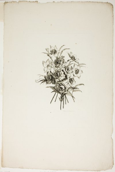 水仙の花束、「さまざまな花束のコレクション」から、ジャン・ピレマンによって発明および描かれ、P. C. カノによって彫刻 作： Pierre Charles Canot