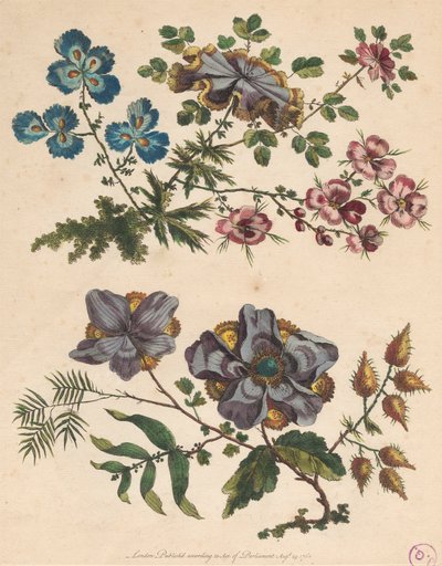 想像上の花の 2 つのスプレー 作： Pierre Charles Canot