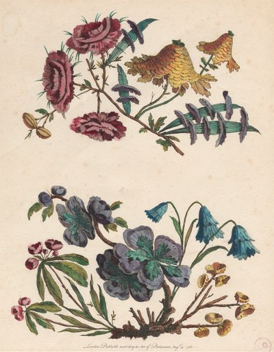 想像上の花の 2 つのスプレー 作： Pierre Charles Canot